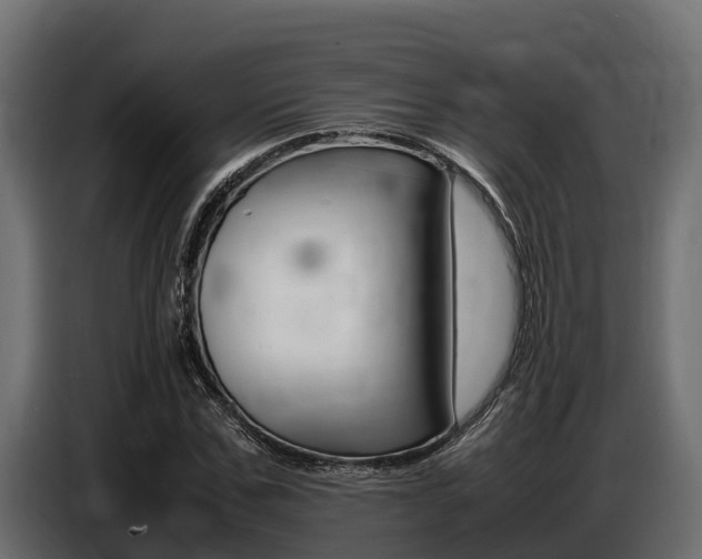 X0000086770971200704130833