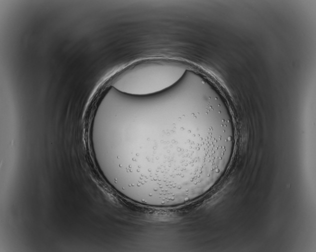 X0000086770974200704130833