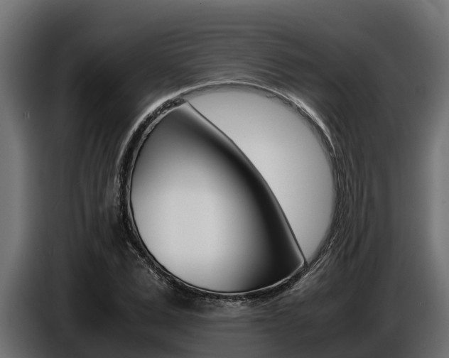 X0000086770975200704130832