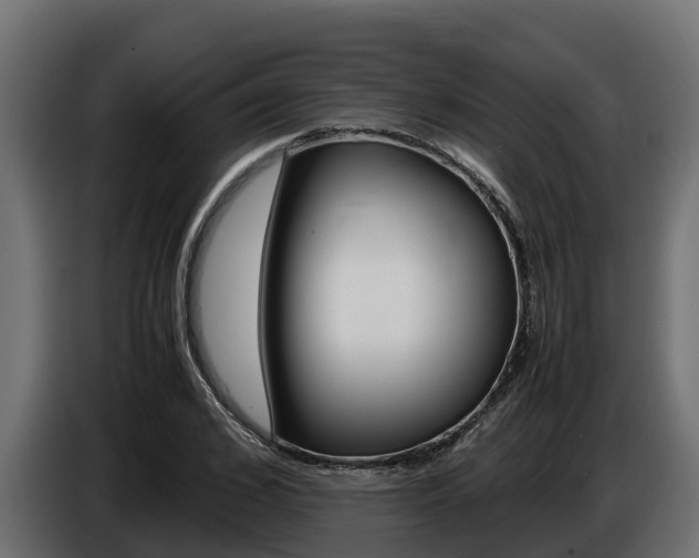 X0000086770976200704130832