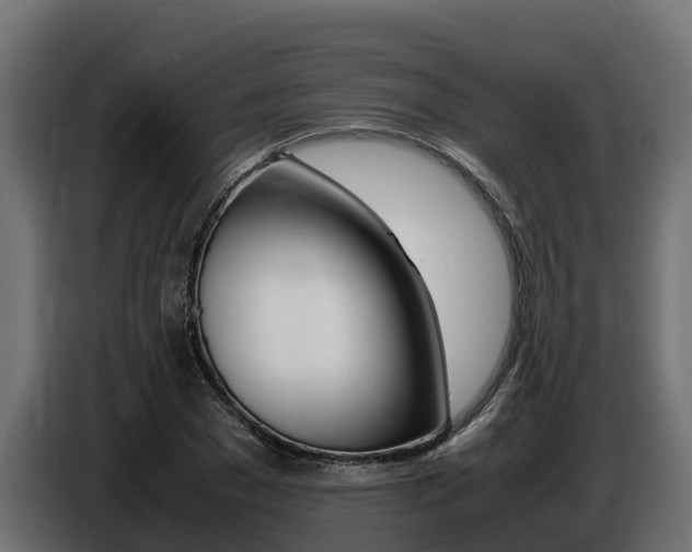 X0000086770977200704130832