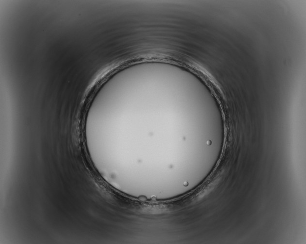 X0000086770978200704130832