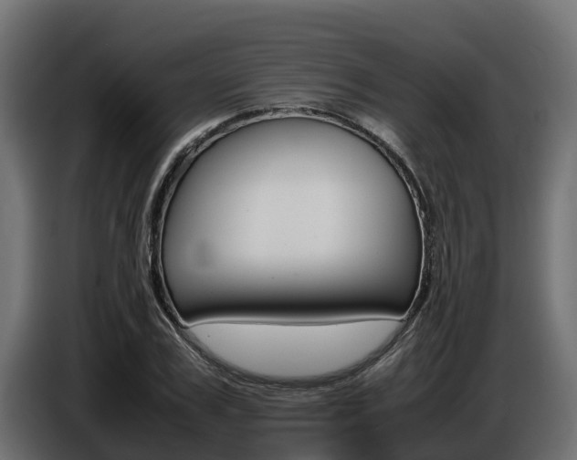 X0000086770979200704130832