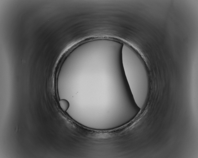 X0000086770982200704130832