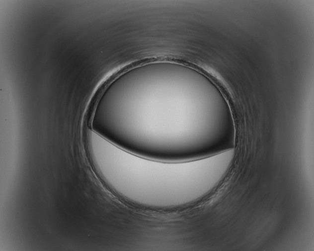X0000086770983200704130832