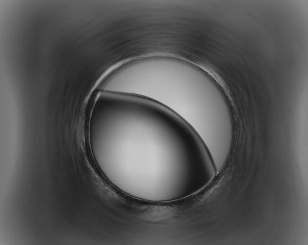 X0000086770984200704130832