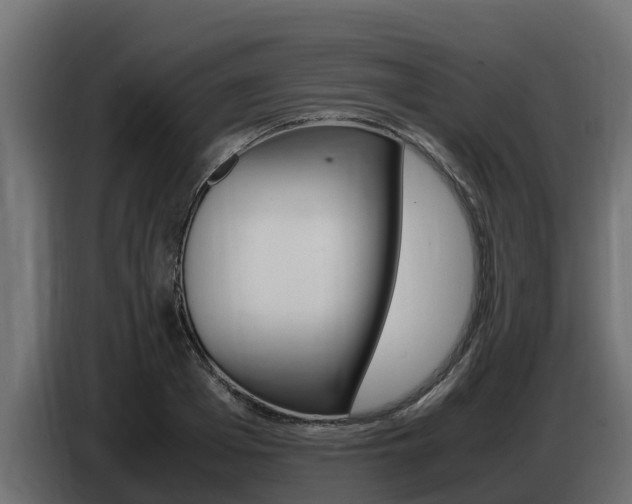 X0000086770985200704130832