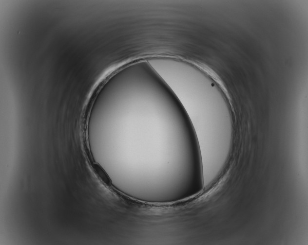 X0000086770989200704130832