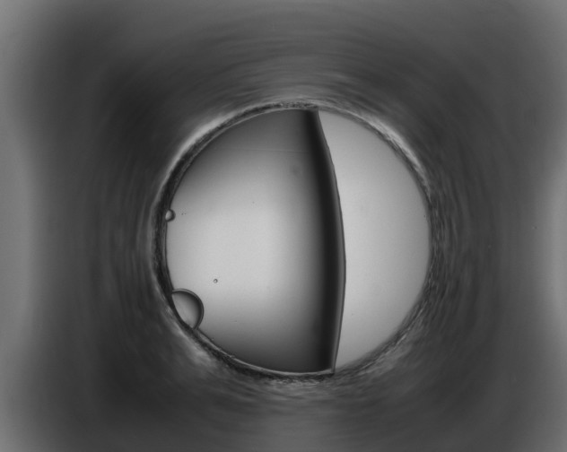 X0000086770991200704130832
