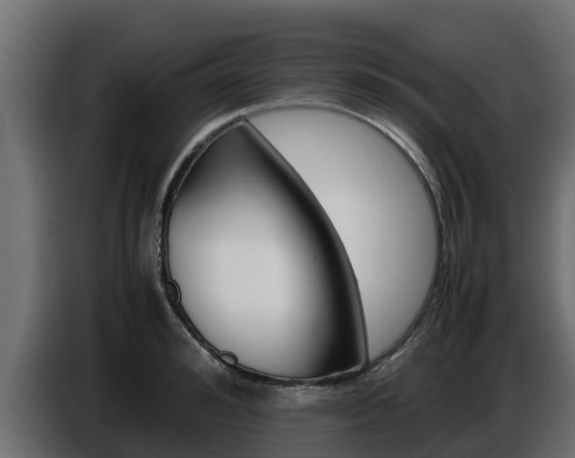 X0000086770992200704130832