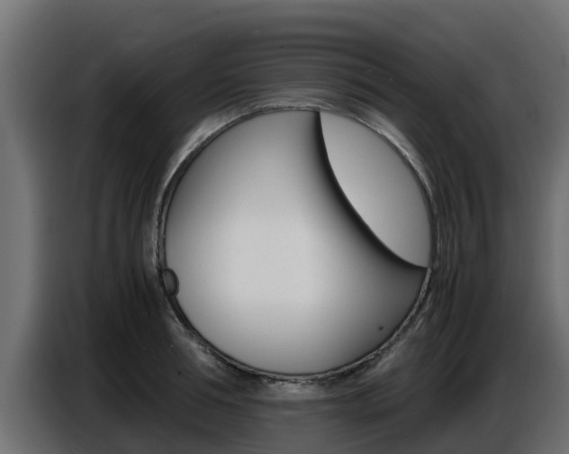 X0000086770994200704130832