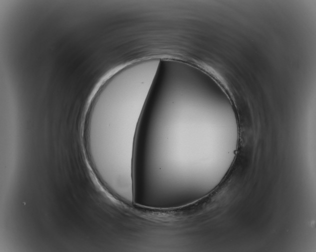 X0000086770995200704130832