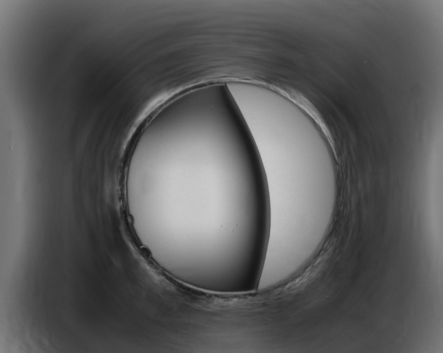 X0000086770997200704130832