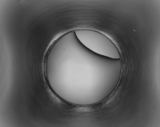 X0000086770998200704130832