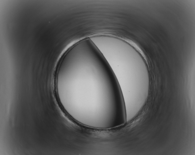 X0000086770999200704130832