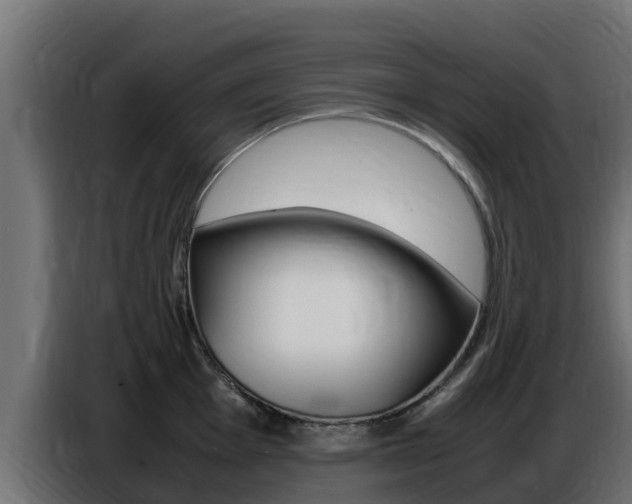 X0000086771001200704130832