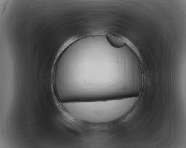X0000086771002200704130832