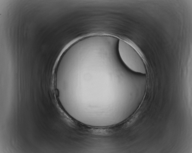 X0000086771004200704130832