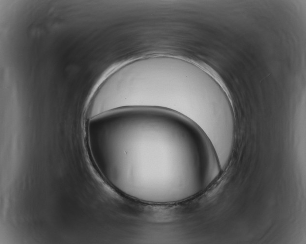 X0000086771005200704130832