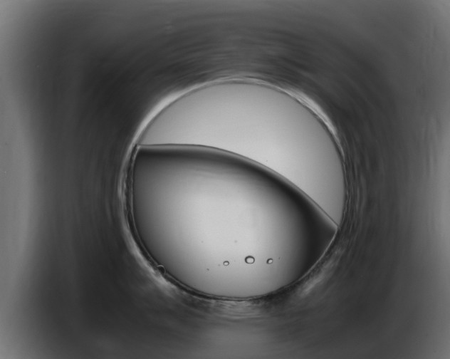 X0000086771007200704130832