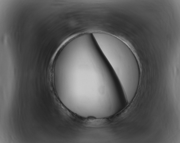 X0000086771008200704130832