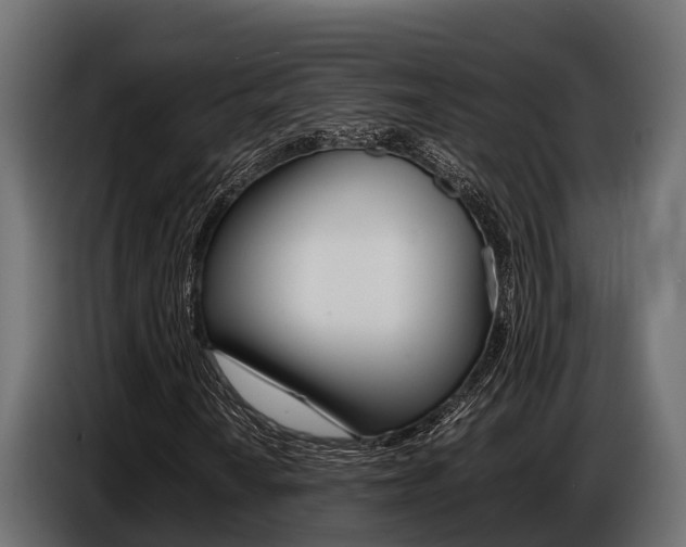 X0000086771010200704130831