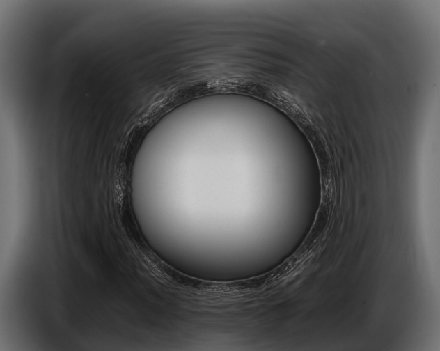 X0000086771012200704130831