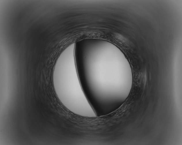 X0000086771013200704130831