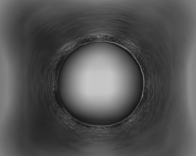 X0000086771014200704130831