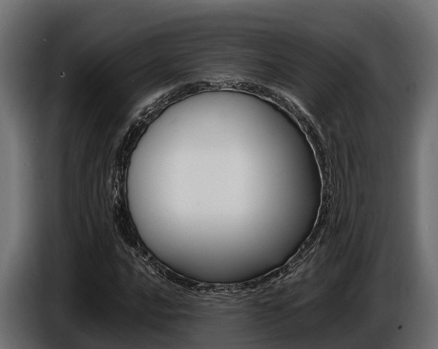 X0000086771016200704130831