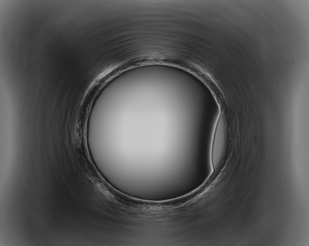 X0000086771018200704130831