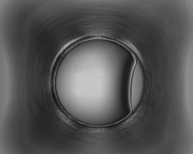 X0000086771020200704130832