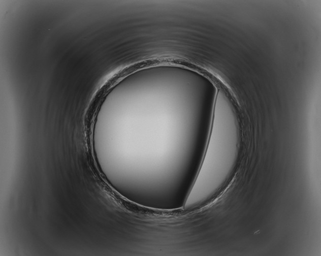 X0000086771022200704130832