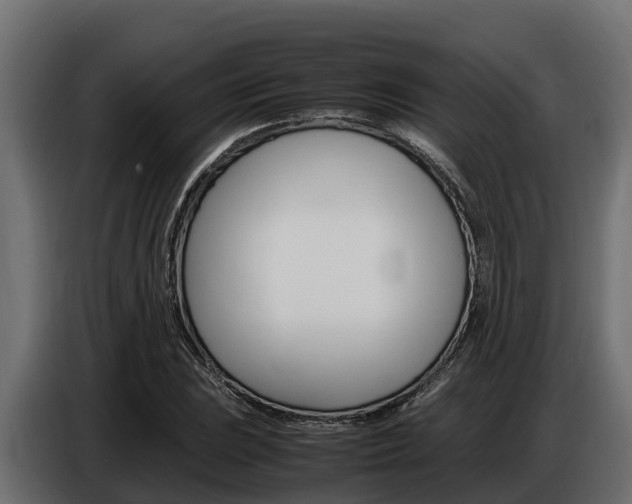 X0000086771023200704130832