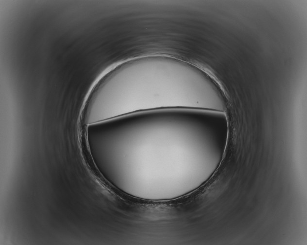 X0000086771024200704130832