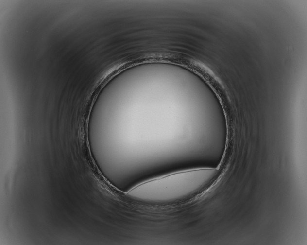 X0000086771025200704130832