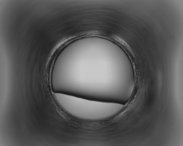 X0000086771027200704130832