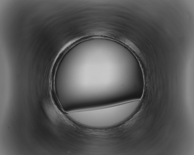 X0000086771028200704130832