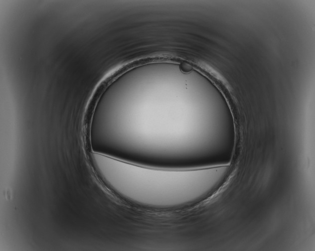 X0000086771029200704130832