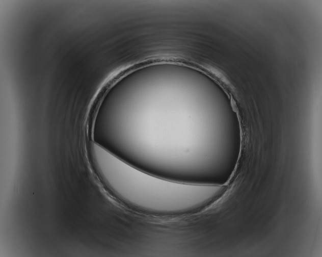 X0000086771030200704130832