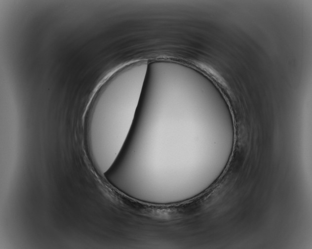 X0000086771031200704130832