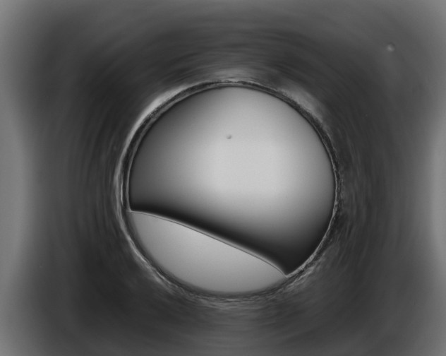 X0000086771032200704130832