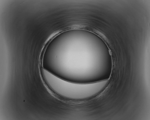 X0000086771034200704130832