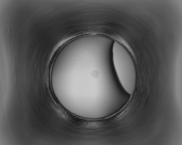 X0000086771035200704130832