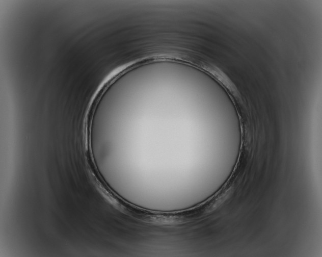X0000086771036200704130832