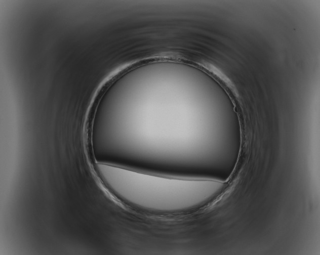 X0000086771037200704130832
