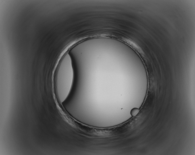 X0000086771039200704130832
