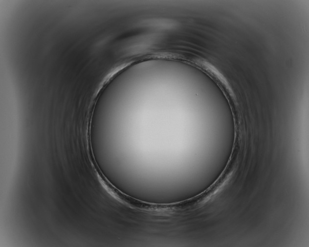 X0000086771041200704130832
