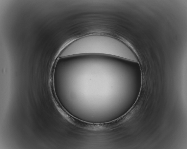 X0000086771042200704130832