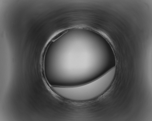 X0000086771046200704130832